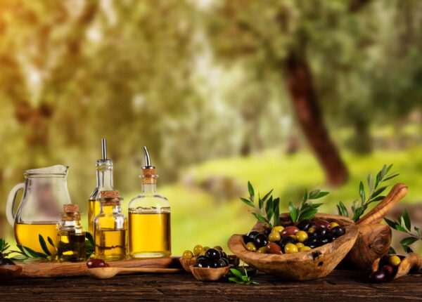 olive-grove