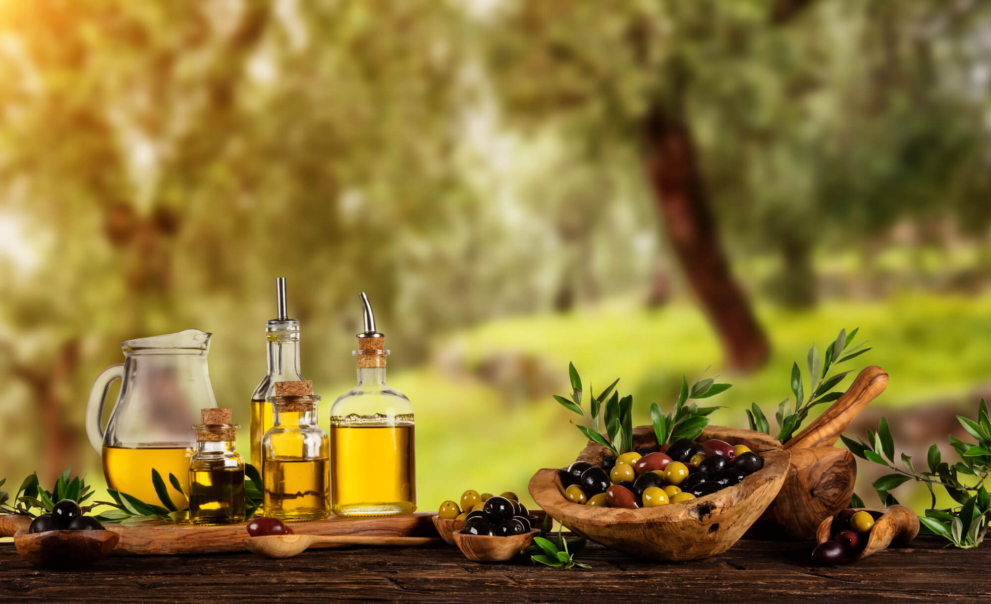 olive-grove