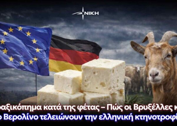 ScreenShot_20260112003508-1024x576